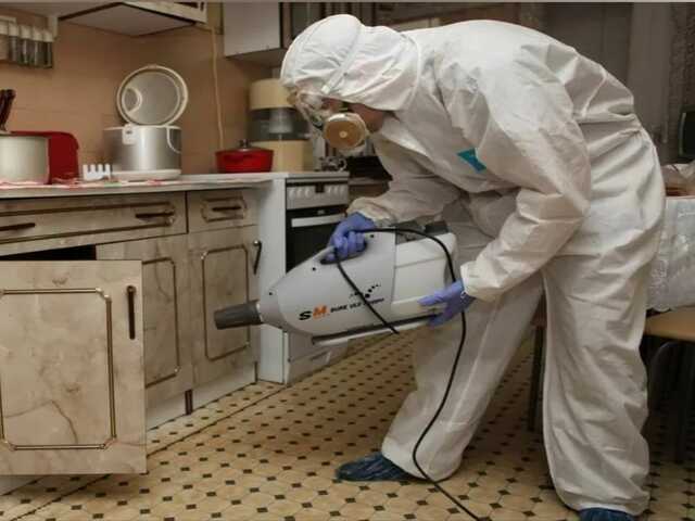 дезинсекция в ачинске